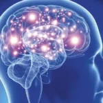 A Importância da Saúde Mental no Dia a Dia